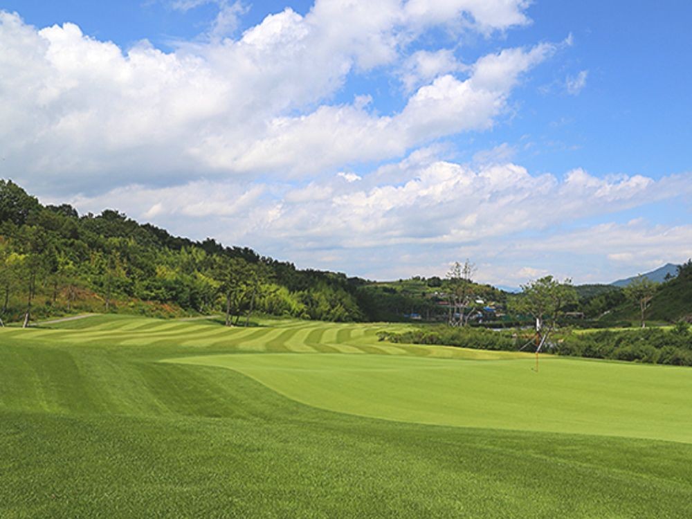 _브라보 골프⛳동남아골프.중국골프.일본골프.태국골프.필리핀골프.베트남골프.골프패키지.부킹_사진_20250513_5.jpg